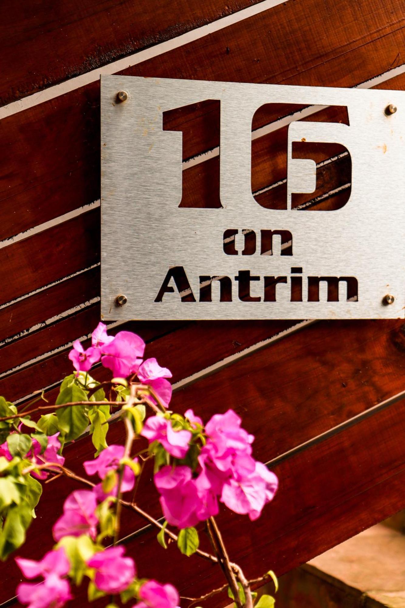 16 On Antrim Apartment Херманус Екстериор снимка
